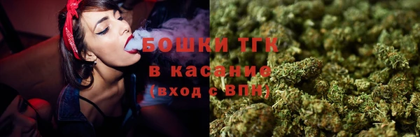 spice Пестово