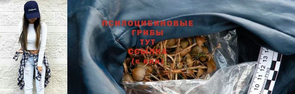 экстази Пересвет
