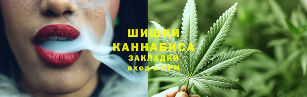 spice Осинники