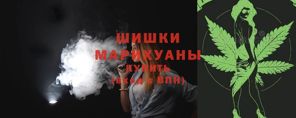 spice Пестово